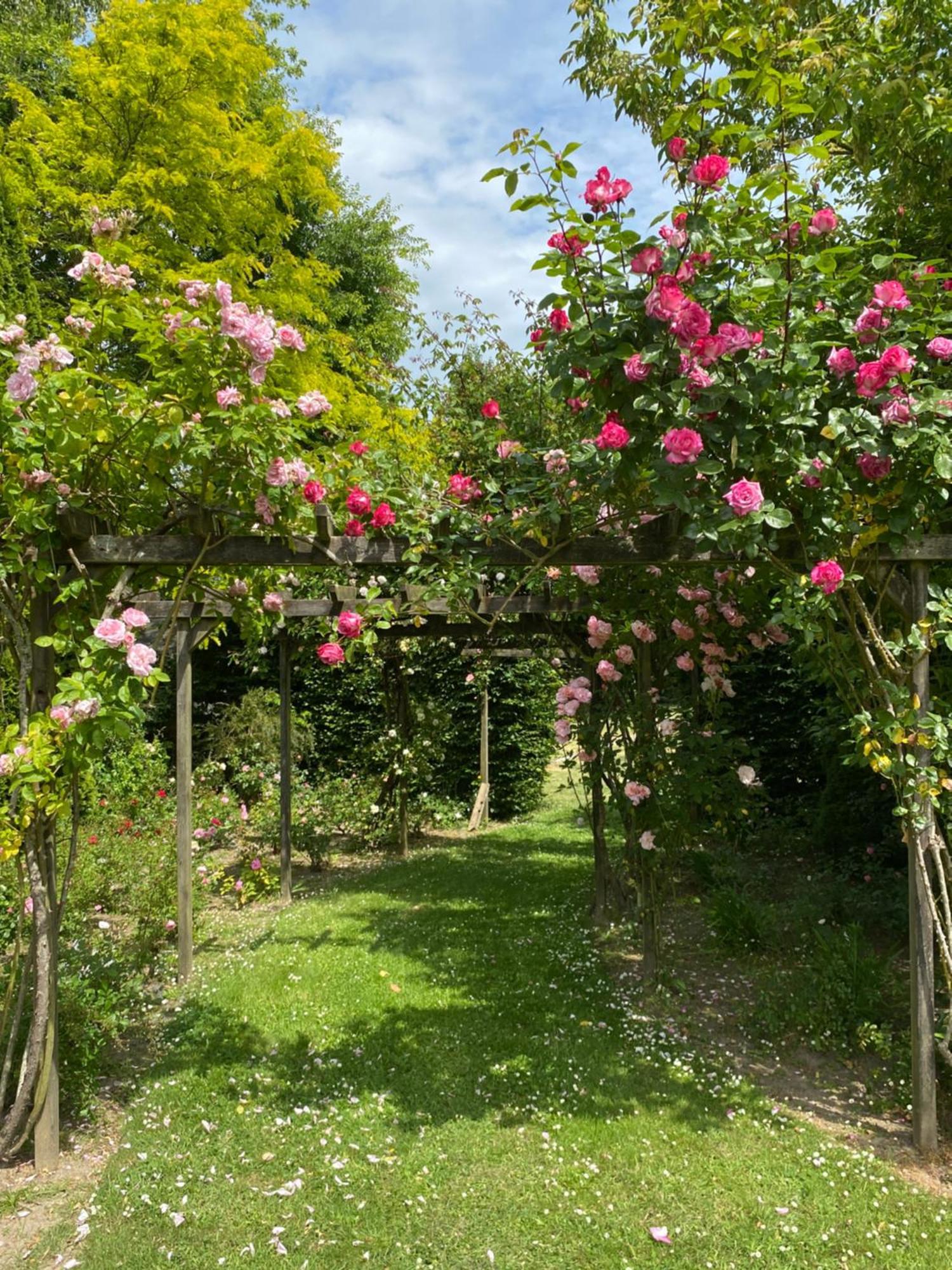 Bed and Breakfast Manoir Des Bords De Rance Plouër-sur-Rance Exteriér fotografie