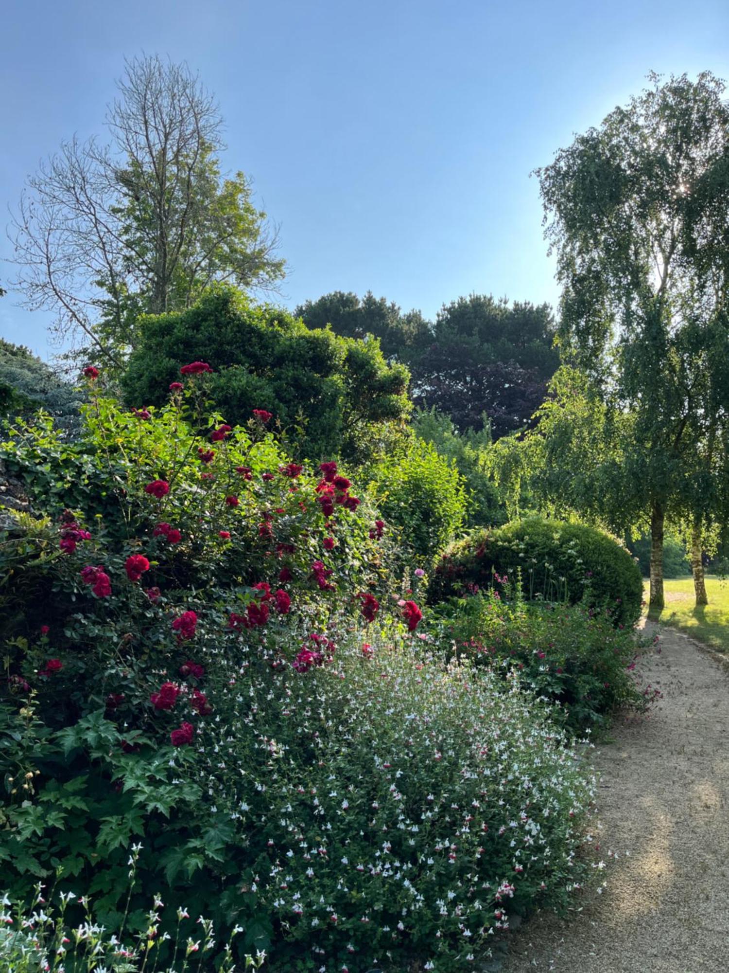 Bed and Breakfast Manoir Des Bords De Rance Plouër-sur-Rance Exteriér fotografie